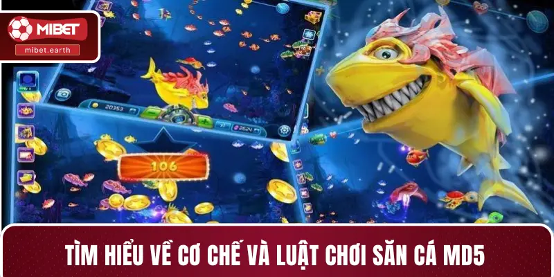 Tìm hiểu về cơ chế và luật chơi săn cá MD5