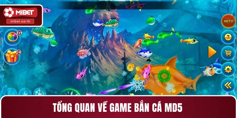 Tổng quan về game bắn cá MD5