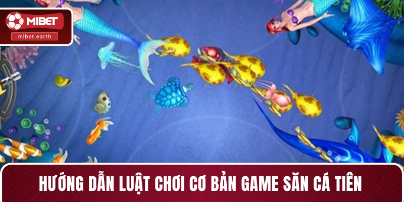 Hướng dẫn luật chơi cơ bản game săn cá tiên