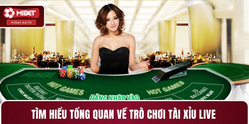 Tìm hiểu tổng quan về trò chơi tài xỉu live Tìm hiểu tổng quan về trò chơi tài xỉu live