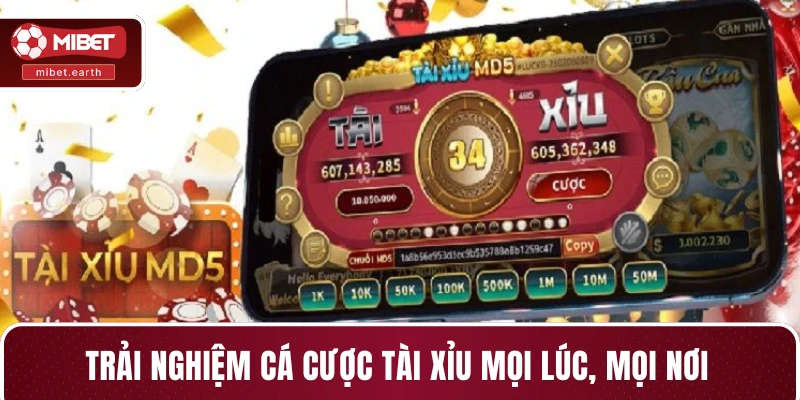 Trải nghiệm cá cược tài xỉu mọi lúc, mọi nơi Trải nghiệm cá cược tài xỉu mọi lúc, mọi nơi