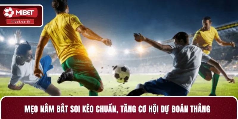 Mẹo nắm bắt soi kèo chuẩn, tăng cơ hội dự đoán thắng Mẹo nắm bắt soi kèo chuẩn, tăng cơ hội dự đoán thắng